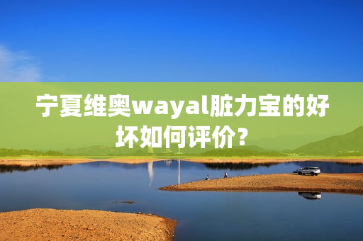 宁夏维奥wayal脏力宝的好坏如何评价？第1张-Wayal唯奥公司