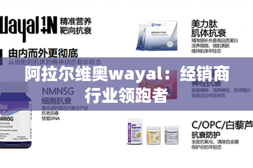 阿拉尔维奥wayal：经销商行业领跑者第1张-Wayal唯奥公司