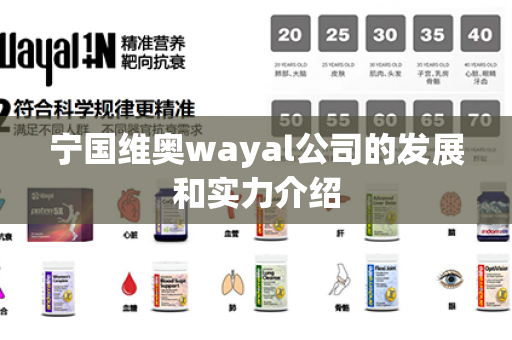 宁国维奥wayal公司的发展和实力介绍