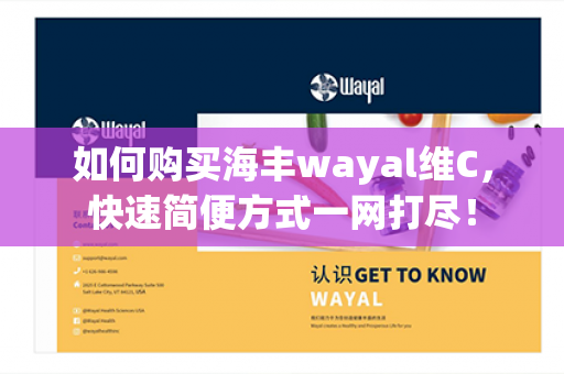 如何购买海丰wayal维C，快速简便方式一网打尽！第1张-Wayal唯奥公司