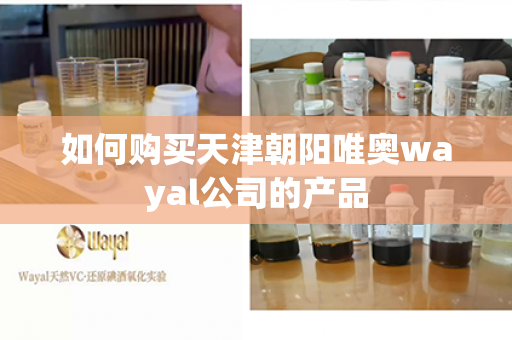 如何购买天津朝阳唯奥wayal公司的产品第1张-Wayal唯奥公司