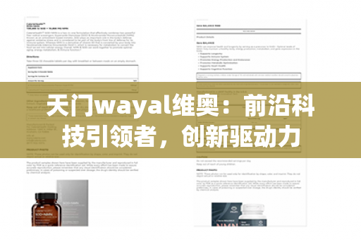 天门wayal维奥：前沿科技引领者，创新驱动力第1张-Wayal唯奥公司