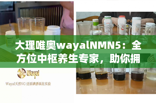 大理唯奥wayalNMN5：全方位中枢养生专家，助你拥抱健康生活！