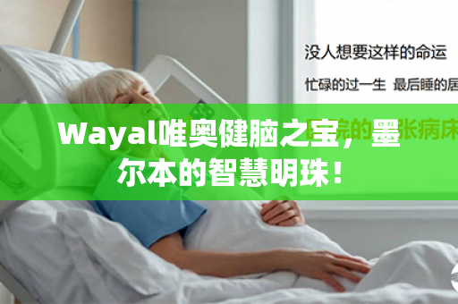 Wayal唯奥健脑之宝，墨尔本的智慧明珠！第1张-Wayal唯奥公司