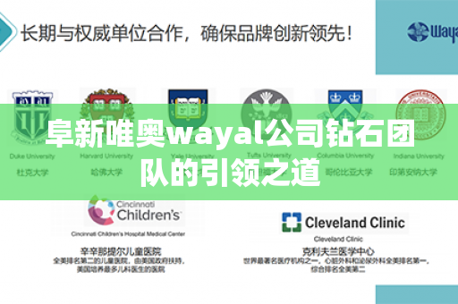 阜新唯奥wayal公司钻石团队的引领之道