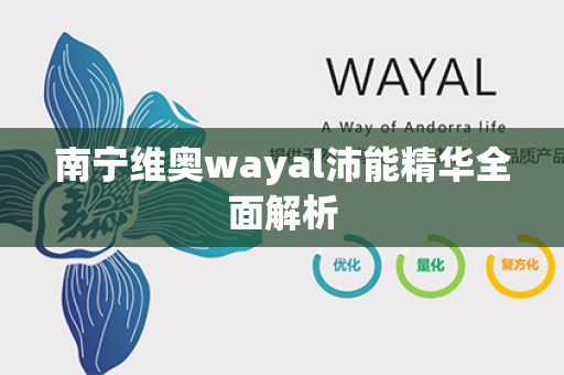 南宁维奥wayal沛能精华全面解析第1张-Wayal唯奥公司