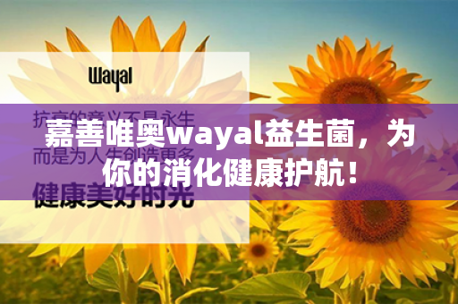 嘉善唯奥wayal益生菌，为你的消化健康护航！第1张-Wayal唯奥公司