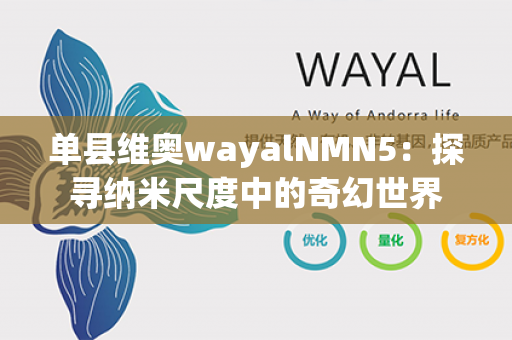 单县维奥wayalNMN5：探寻纳米尺度中的奇幻世界