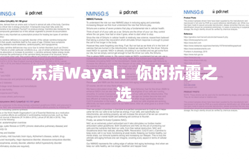 乐清Wayal：你的抗霾之选第1张-Wayal唯奥公司