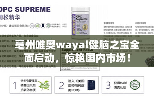 亳州唯奥wayal健脑之宝全面启动，惊艳国内市场！第1张-Wayal唯奥公司