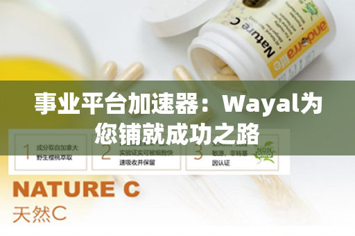 事业平台加速器：Wayal为您铺就成功之路第1张-Wayal唯奥公司