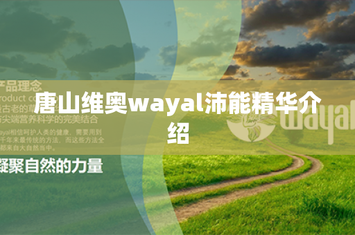 唐山维奥wayal沛能精华介绍第1张-Wayal唯奥公司