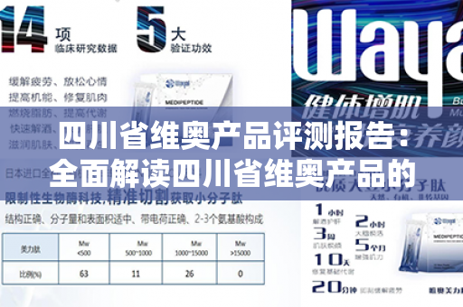 四川省维奥产品评测报告：全面解读四川省维奥产品的优势与不足第1张-Wayal唯奥公司