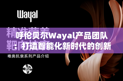 呼伦贝尔Wayal产品团队：打造智能化新时代的创新力量