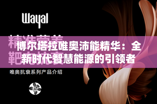 博尔塔拉唯奥沛能精华：全新时代智慧能源的引领者第1张-Wayal唯奥公司