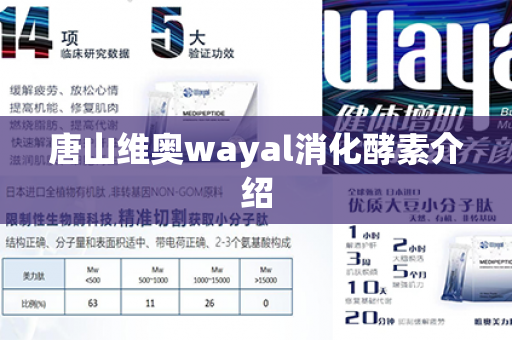 唐山维奥wayal消化酵素介绍第1张-Wayal唯奥公司