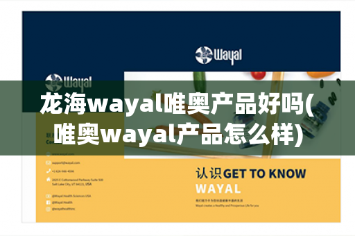 龙海wayal唯奥产品好吗(唯奥wayal产品怎么样)第1张-Wayal唯奥公司