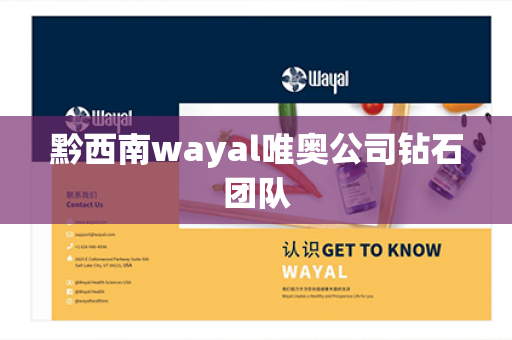 黔西南wayal唯奥公司钻石团队