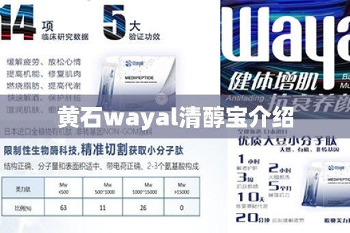 黄石wayal清醇宝介绍第1张-Wayal唯奥公司