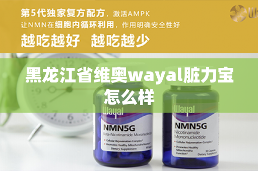 黑龙江省维奥wayal脏力宝怎么样