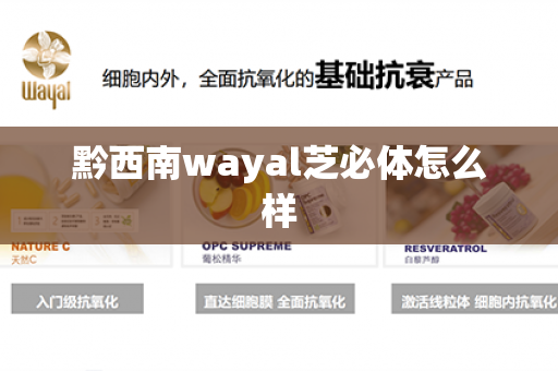 黔西南wayal芝必体怎么样