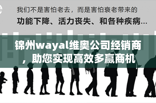 锦州wayal维奥公司经销商，助您实现高效多赢商机第1张-Wayal唯奥公司