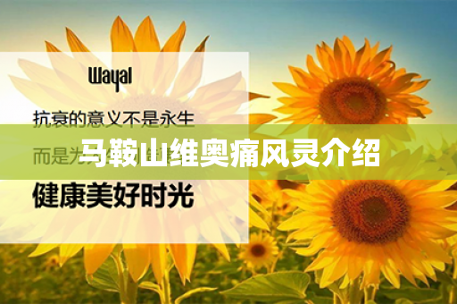 马鞍山维奥痛风灵介绍第1张-Wayal唯奥公司