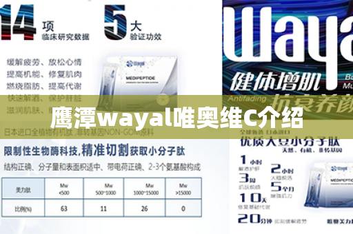 鹰潭wayal唯奥维C介绍