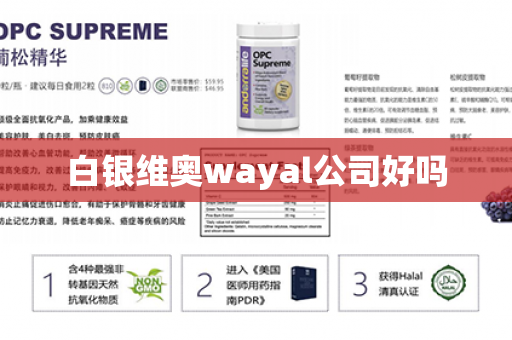 白银维奥wayal公司好吗