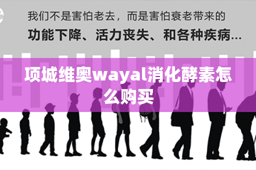 项城维奥wayal消化酵素怎么购买