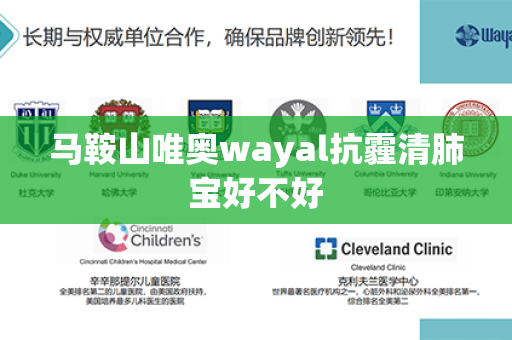 马鞍山唯奥wayal抗霾清肺宝好不好