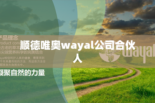 顺德唯奥wayal公司合伙人第1张-Wayal唯奥公司