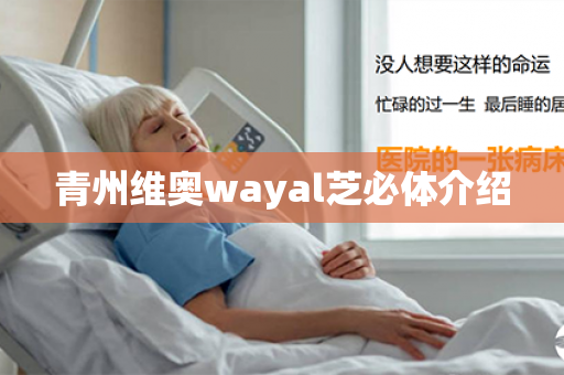 青州维奥wayal芝必体介绍第1张-Wayal唯奥公司