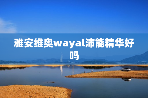 雅安维奥wayal沛能精华好吗第1张-Wayal唯奥公司