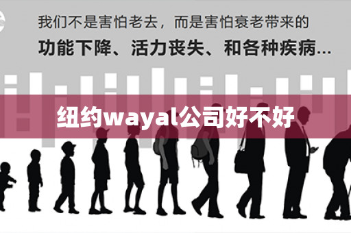 纽约wayal公司好不好第1张-Wayal唯奥公司