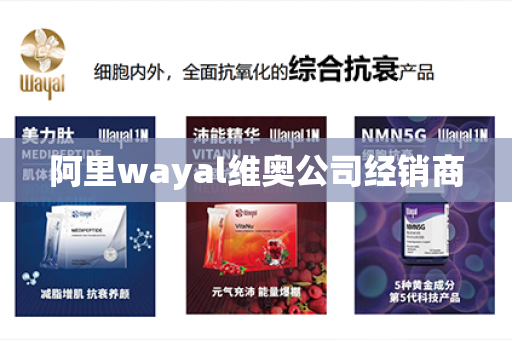 阿里wayal维奥公司经销商第1张-Wayal唯奥公司