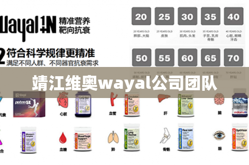 靖江维奥wayal公司团队