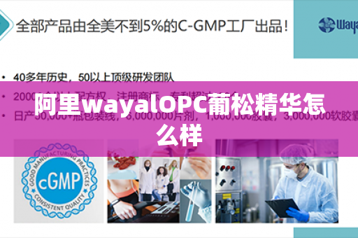 阿里wayalOPC葡松精华怎么样