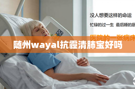 随州wayal抗霾清肺宝好吗