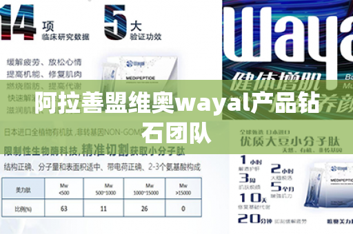 阿拉善盟维奥wayal产品钻石团队第1张-Wayal唯奥公司