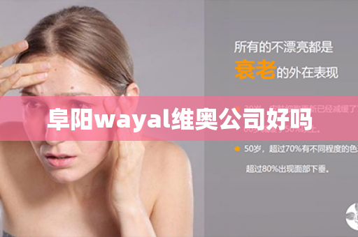 阜阳wayal维奥公司好吗