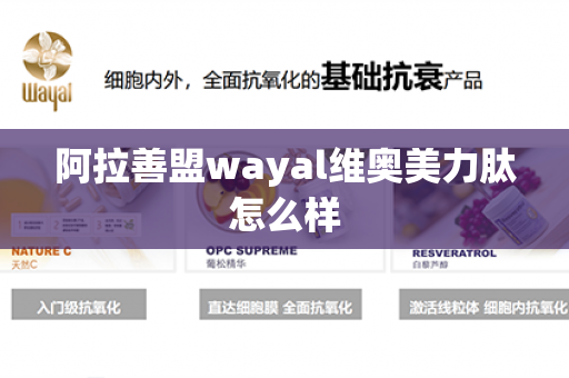 阿拉善盟wayal维奥美力肽怎么样第1张-Wayal唯奥公司