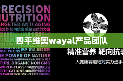 四平维奥wayal产品团队