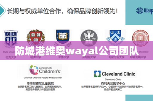 防城港维奥wayal公司团队