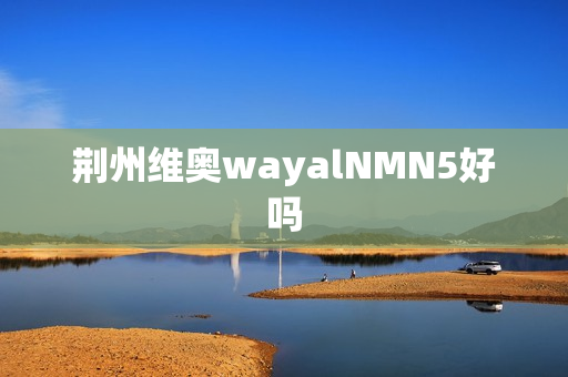 荆州维奥wayalNMN5好吗第1张-Wayal唯奥公司