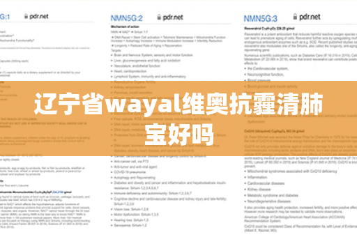 辽宁省wayal维奥抗霾清肺宝好吗