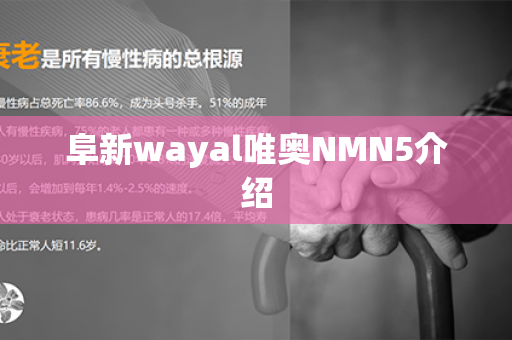 阜新wayal唯奥NMN5介绍