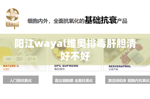 阳江wayal维奥排毒肝胆清好不好第1张-Wayal唯奥公司