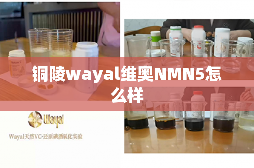 铜陵wayal维奥NMN5怎么样第1张-Wayal唯奥公司