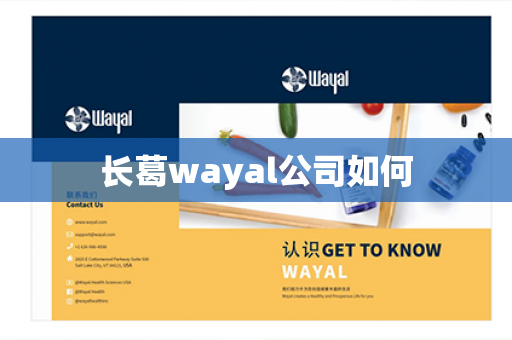 长葛wayal公司如何